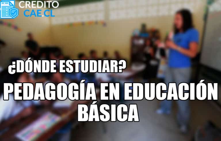 donde estudiar pedagogía en educación básica